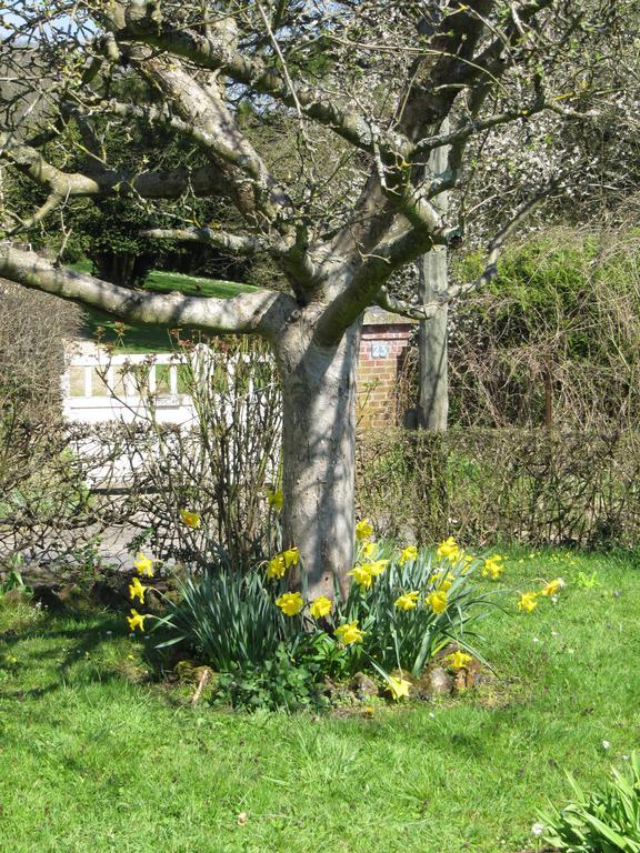 La Roseraie Du Prieure Rosay-sur-Lieure Værelse billede
